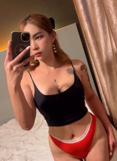 Philippines Chinese VERSATILE - Acompañantes transexual in Kuala Lumpur Photo 29 of 30