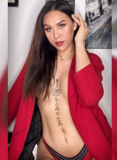 Asian TOP VIP Trans Dominant - Transsexual escort in Nice Photo 11 of 29