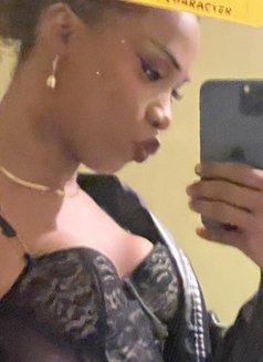 Philly Barbie🏳️‍⚧️🧚‍♀️ - Transsexual escort in Cape Town Photo 10 of 12