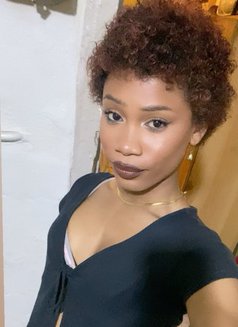 Philly Barbie - Acompañantes transexual in Cape Town Photo 9 of 11