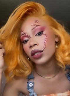 Philly Barbie - Acompañantes transexual in Cape Town Photo 10 of 11