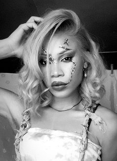 Philly Barbie - Acompañantes transexual in Cape Town Photo 11 of 11