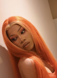 Philly Barbie - Acompañantes transexual in Cape Town Photo 13 of 13