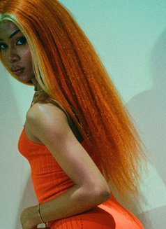 Philly Barbie - Transsexual escort in Cape Town Photo 6 of 7