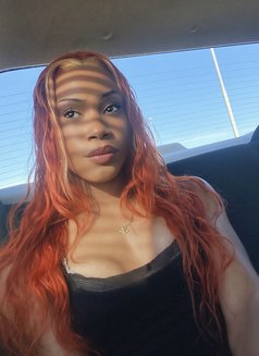 Philly Barbie - Transsexual escort in Cape Town Photo 7 of 7