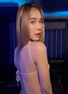 Phingan ladyboy🇹🇭 - Transsexual escort in Bangkok Photo 5 of 6