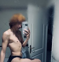 Phoenix - Acompañantes masculino in Tunis