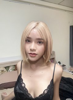 Phoylee - Transsexual escort in Bangkok Photo 4 of 5