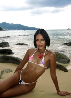 Pi X Xi E Versatile Beach Girl - Transsexual escort in Bangkok Photo 1 of 24