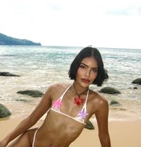 Pi X Xi E Versatile Beach Girl - Acompañantes transexual in Bangkok Photo 1 of 28