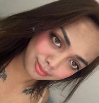 Pia Co - Acompañantes transexual in Manila