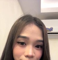 The youngest VERSA PIA - Transsexual escort in Al Ain