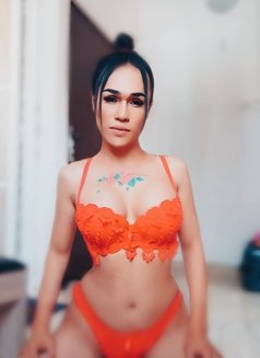 Pia Ledyboy Thailan - Acompañantes transexual in Muscat Photo 11 of 11