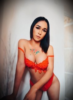 Pia Ledyboy Thailan - Acompañantes transexual in Muscat Photo 7 of 11