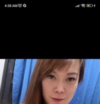 Pia Marie - Transsexual escort in Angeles City