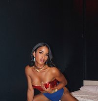 Piano - Transsexual escort in Ko Samui