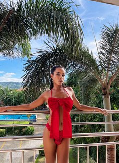 Piano - Acompañantes masculino in  Koh Phangan Photo 9 of 9