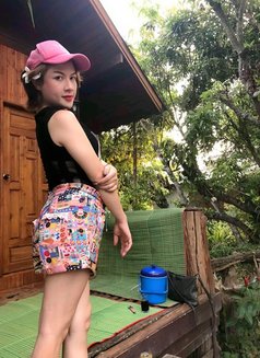 Pichaya, Ladyboy 6969 - Transsexual escort in Muscat Photo 4 of 7