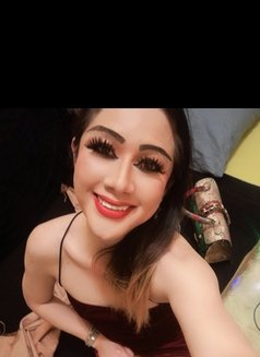 Pichaya, Ladyboy 6969 - Transsexual escort in Muscat Photo 7 of 7