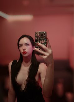 Picky - Transsexual escort in Pattaya Photo 1 of 4