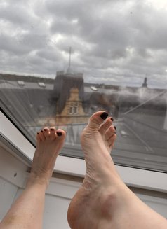 Pieds Élégant - Dominadora in Paris Photo 3 of 7