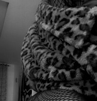 Pierrevittar - Transsexual escort in Abuja