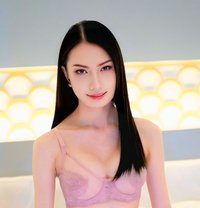 Piglet - Transsexual escort in Pattaya Photo 1 of 21