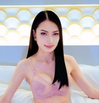 Piglet - Acompañantes transexual in Bangkok