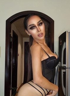 Pim 8 Inches 100% - Transsexual companion in Dubai Photo 14 of 15