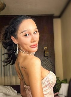 Pim 8 Inches 100% - Transsexual companion in Dubai Photo 13 of 20