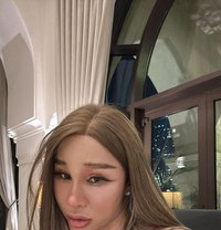 Pim 8 Inches 100% jvc - Transsexual adult performer in Dubai
