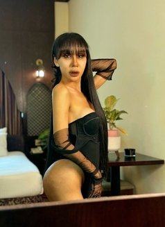 Pim 8 Inches 100% - Acompañante transexual in Dubai Photo 11 of 24