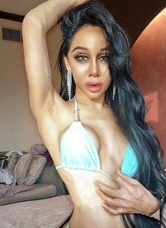 Pim 8 Inches - Intérprete transexual de adultos in Dubai Photo 4 of 8
