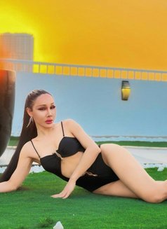 Pim 8 Inches jvc - Transsexual adult performer in Dubai Photo 15 of 22