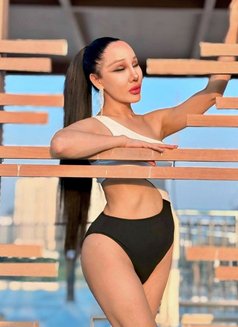 Pim 8 Inches jvc - Transsexual adult performer in Dubai Photo 15 of 15