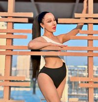 Pim 8 Inches jvc - Intérprete transexual de adultos in Dubai Photo 15 of 15