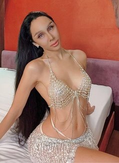 Pim 8 Inches jvc - Intérprete transexual de adultos in Dubai Photo 12 of 18