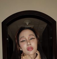 Pim 8 Inches jvc - Transsexual adult performer in Dubai
