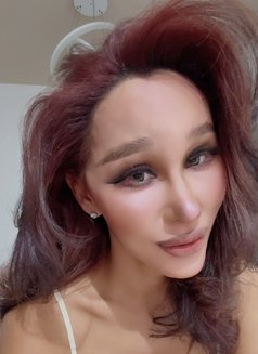 Pim 8 Inches jvc - Transsexual adult performer in Dubai Photo 12 of 12