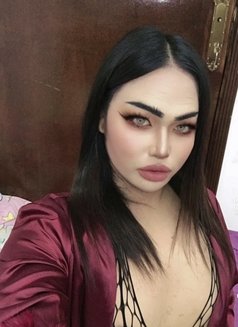 Pim, the Fat Ladyboy - Transsexual escort in Muscat Photo 2 of 5