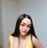 Pimda - Transsexual escort in Chiang Mai