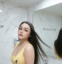 Pimda - Transsexual escort in Chiang Mai