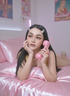 Pimda - Transsexual escort in Chiang Mai Photo 4 of 4