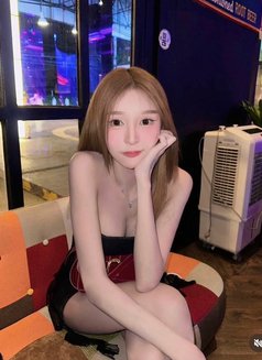 Pimly - Agencia de acompañantes transexuales in Taipei Photo 3 of 5