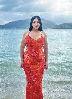 PIMMI SWEET CHUBBY - Transsexual escort in Phuket Photo 15 of 15