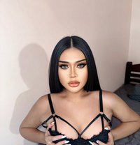 PIMMI SWEET CHUBBY - Acompañantes transexual in Phuket