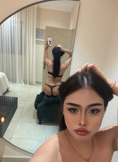 Pimmy Ladyboy Hodg Dick in Riyadh🇹🇭 - Transsexual escort in Riyadh Photo 15 of 17