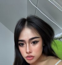 Pimmy🇹🇭 Ladyboy TH - Transsexual escort in Doha