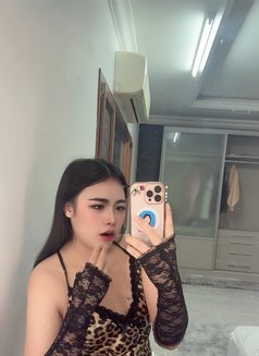 Pimmy🇹🇭 Ladyboy TH - Acompañantes transexual in Doha Photo 10 of 10
