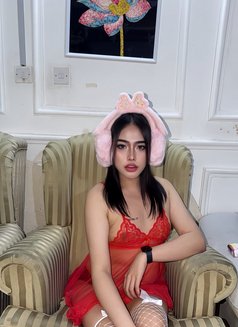 Pimmy🇹🇭 Ladyboy TH - Acompañantes transexual in Doha Photo 10 of 11
